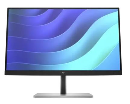 HP E22 G5 21.5" FHD IPS Monitor