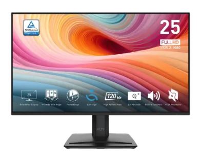MSI PRO MP251 E2 24.5" 120Hz IPS FHD Monitor